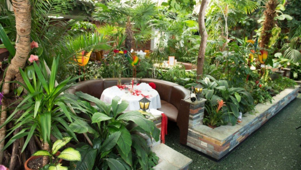 Tropenpflanzen Restaurant Florida, Studen